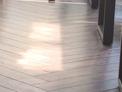 春暖花开餐厅(西溪店)-春暖花开(西溪店)