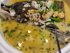 洞庭鱼头鱼泡-东方红酒楼(知春路店)