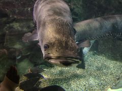 -太平洋海底世界