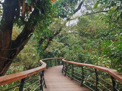 -深圳仙湖植物园