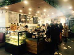 -油梨树 AVOCADO TREE(亮马桥店)