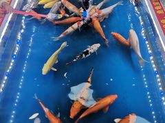 -万达广场(龙湖店)