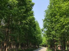 -苏州太湖国家湿地公园