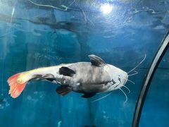 -苏州海洋馆