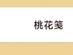 -美育儿童音乐舞蹈国际机构(浦东分校)