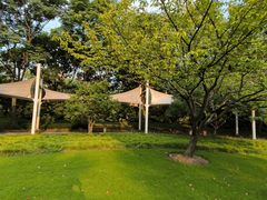 -新白鹿餐厅(松江开元地中海店)