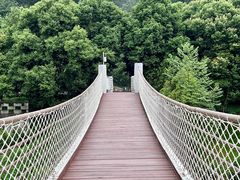 -铁山坪森林公园