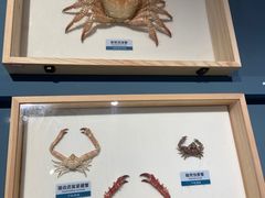 -浙江自然博物院(杭州馆)