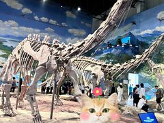 -自贡恐龙博物馆