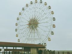 -奉贤海滩