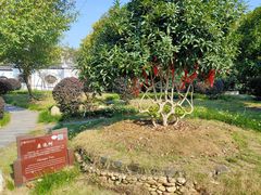 -武汉紫薇都市田园