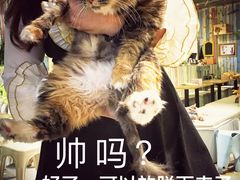 -小时光咖啡馆(开森度假森林店)