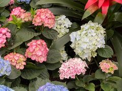 -沈阳植物园