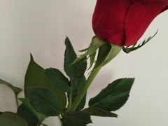 -万科美好广场