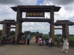 -中华茉莉园