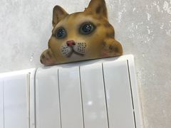 -宠爱国际动物医院·消化内科·心肾内科·ISFM猫友好(望京店)