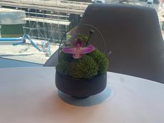 -淮香国色(正大中心店)