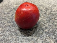 -老蒲鲜·地标·非遗美食(涵江店)