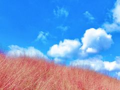-嘉北郊野公园