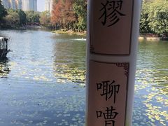-荔湾湖公园