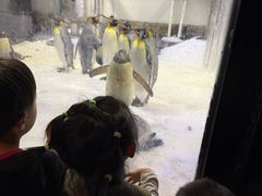 -悉尼海洋生物水族馆