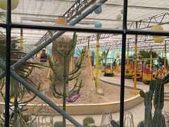 -南宫五洲植物乐园