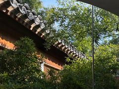 -曲廊院(东四十一条店)