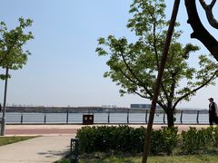 -滨江攀岩