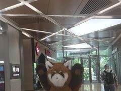 -Manner Coffee(丁香国际店)