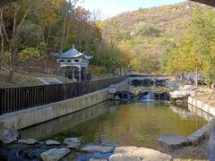 -白水寺森林公园