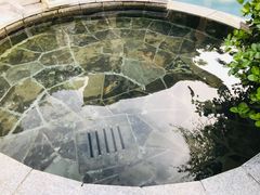 -徂徕山森林康养度假谷温泉