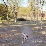 【太阳宫安馨花园】不用去郊区也有大草地