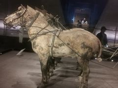 -秦始皇帝陵博物院-丽山园