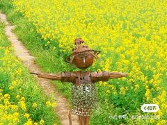 -红山村