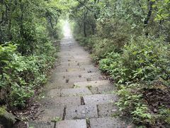 -杭州半山国家森林公园