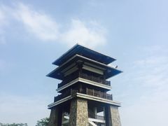 -大湾区中央湿地公园