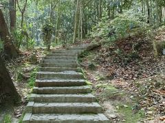 -上海佘山国家森林公园天马山园