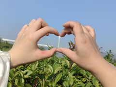 -上海吴淞炮台湾国家湿地公园