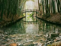 -同里国家湿地公园