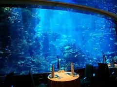 -迪拜帆船酒店海底餐厅