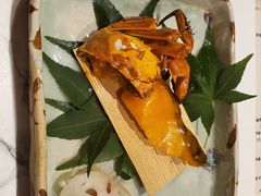 -木石云水(东方路店)