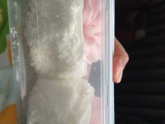 -中关村茶点