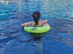 -三亚湾海居铂尔曼度假酒店