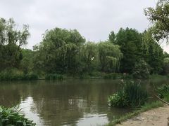 -新江湾城公园