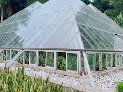 -深圳仙湖植物园