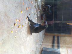 石家庄动物园-石家庄市动物园