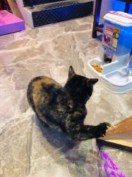 -RL Nail·瑞丽美甲美睫品牌原创店