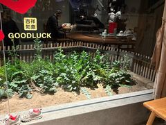 -黄山老妈·土菜(碧桂园店)