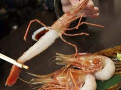 -札幌二条市场 大矶(本店)