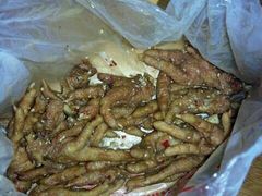 -九多肉多(唐宫路店)